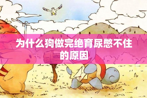 為什么狗做完絕育尿憋不住的原因