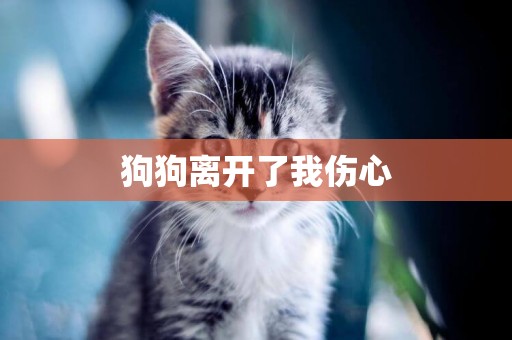 狗狗離開了我傷心
