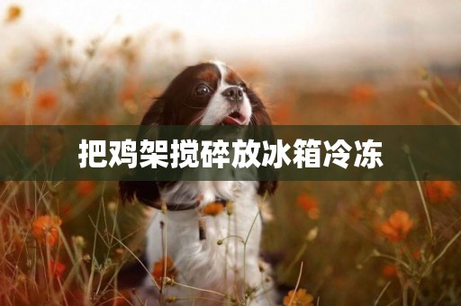 把雞架攪碎放冰箱冷凍