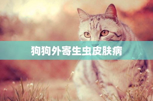 狗狗外寄生蟲皮膚病