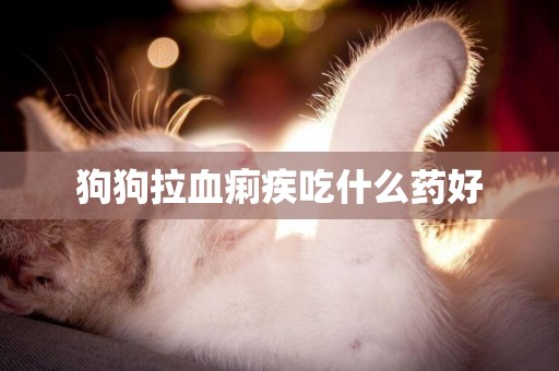 狗狗拉血痢疾吃什么藥好