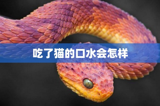 吃了貓的口水會怎樣