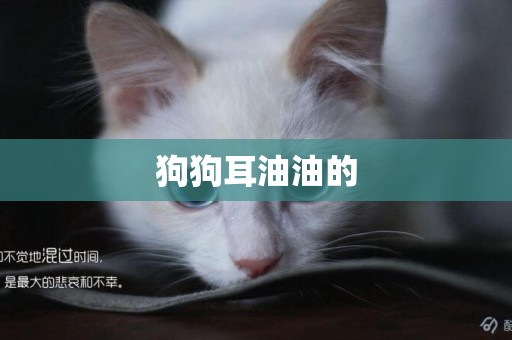 狗狗耳油油的