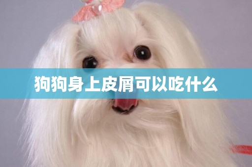 狗狗身上皮屑可以吃什么