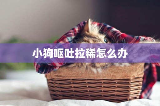 小狗嘔吐拉稀怎么辦