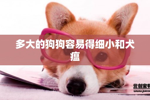 多大的狗狗容易得細小和犬瘟