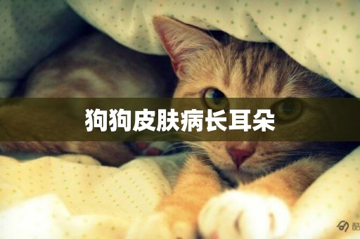 狗狗皮膚病長耳朵