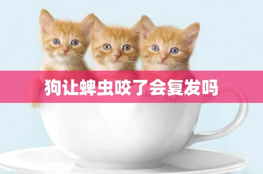 狗讓蜱蟲咬了會復發嗎