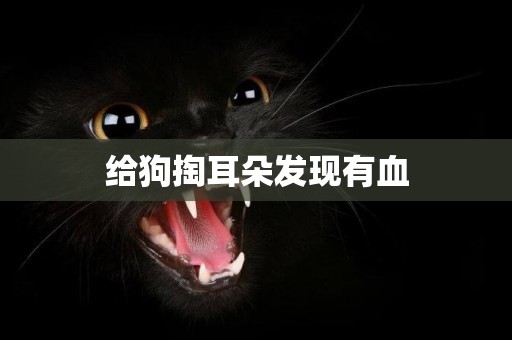 給狗掏耳朵發現有血