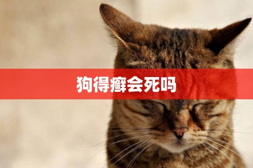 狗得癬會死嗎