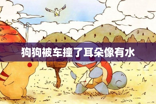 狗狗被車撞了耳朵像有水