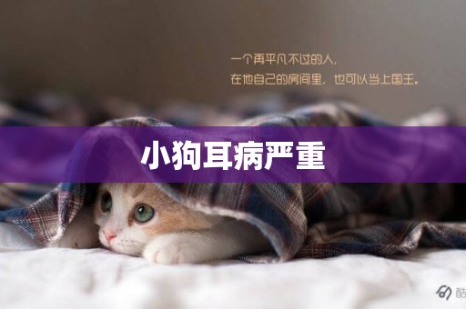 小狗耳病嚴重