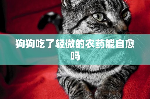 狗狗吃了輕微的農藥能自愈嗎