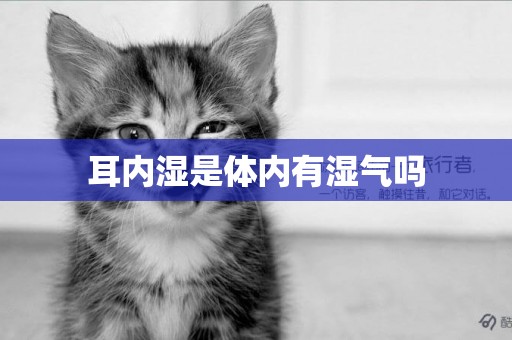 耳內濕是體內有濕氣嗎