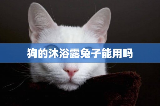 狗的沐浴露兔子能用嗎
