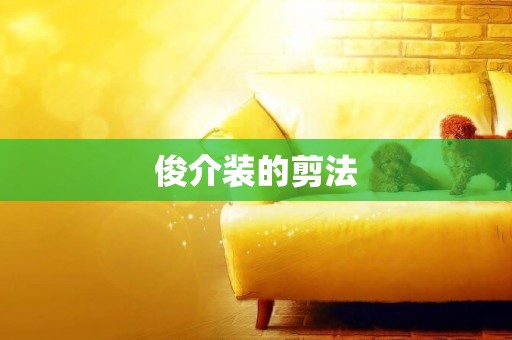 俊介裝的剪法