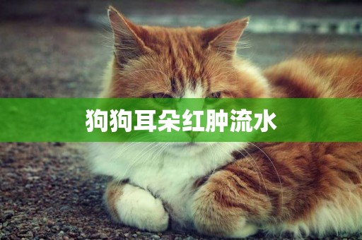 狗狗耳朵紅腫流水