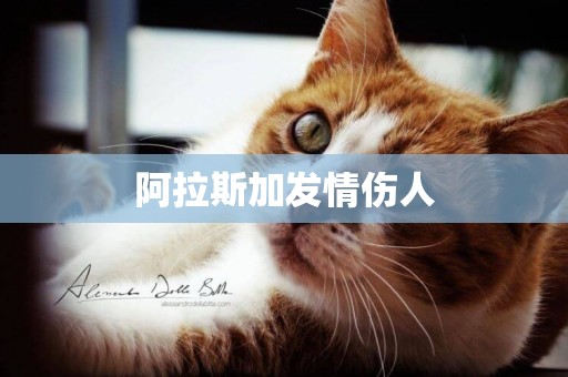 阿拉斯加發情傷人