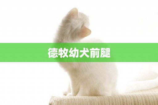 德牧幼犬前腿