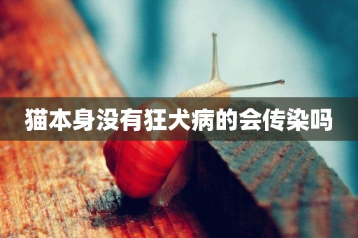 貓本身沒有狂犬病的會傳染嗎