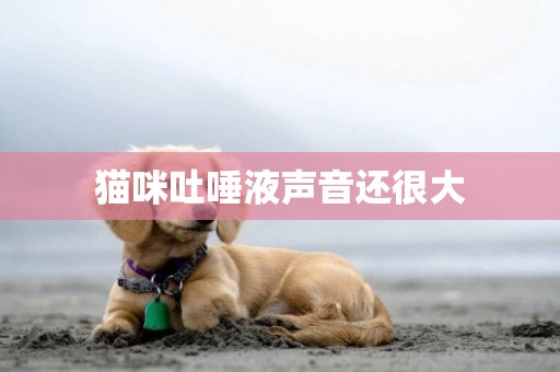 貓咪吐唾液聲音還很大