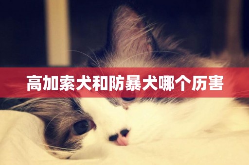高加索犬和防暴犬哪個歷害