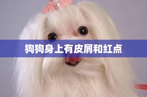狗狗身上有皮屑和紅點