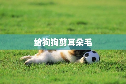 給狗狗剪耳朵毛