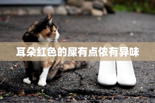 耳朵紅色的屎有點儂有異味