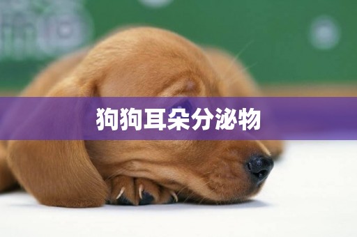 狗狗耳朵分泌物