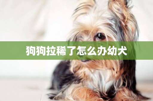 狗狗拉稀了怎么辦幼犬