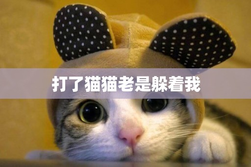 打了貓貓老是躲著我