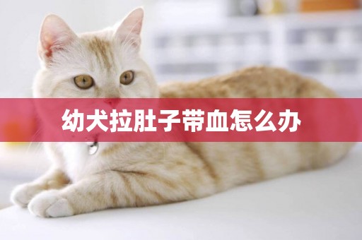 幼犬拉肚子帶血怎么辦