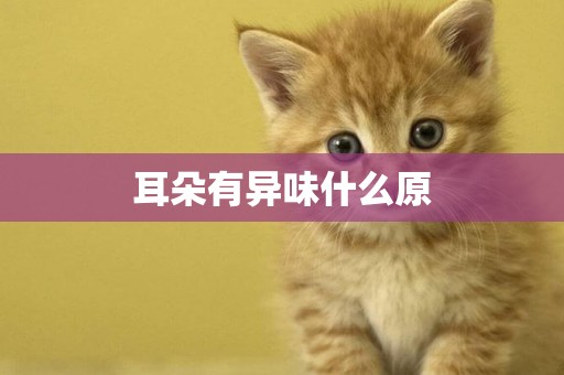 耳朵有異味什么原