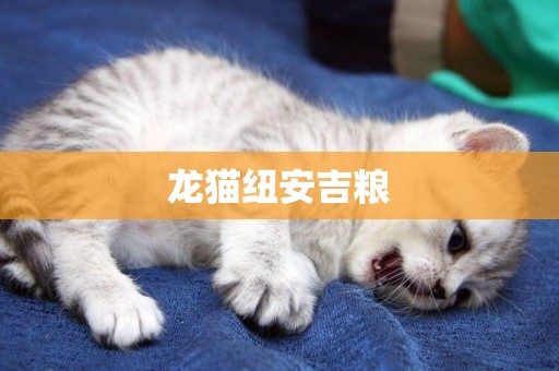 龍貓紐安吉糧