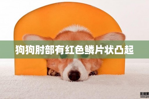 狗狗肘部有紅色鱗片狀凸起