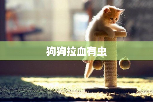 狗狗拉血有蟲