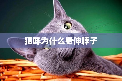貓咪為什么老伸脖子