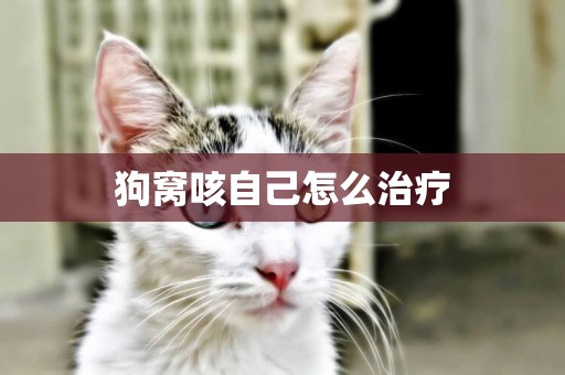 狗窩咳自己怎么治療