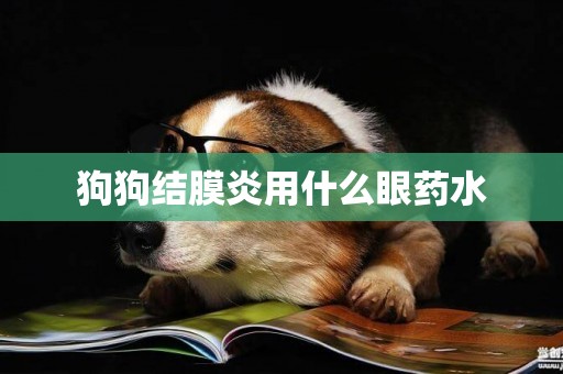狗狗結膜炎用什么眼藥水