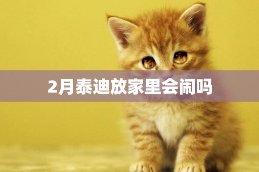 2月泰迪放家里會鬧嗎