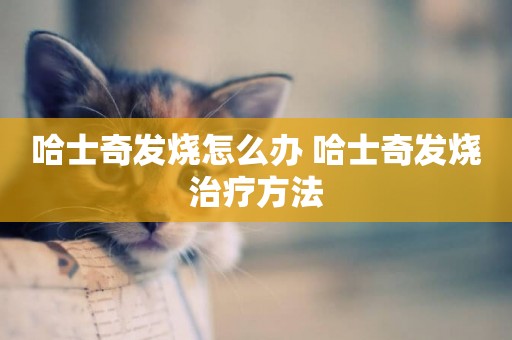 哈士奇發燒怎么辦 哈士奇發燒治療方法