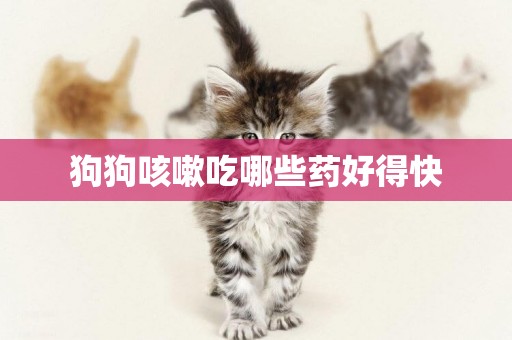 狗狗咳嗽吃哪些藥好得快