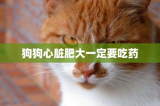 狗狗心臟肥大一定要吃藥