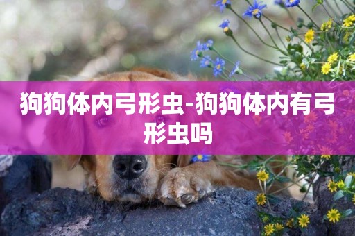 狗狗體內弓形蟲-狗狗體內有弓形蟲嗎