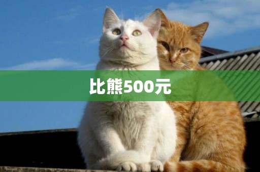 比熊500元