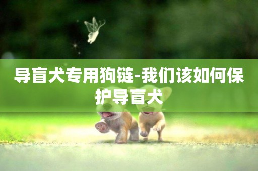 導盲犬專用狗鏈-我們該如何保護導盲犬
