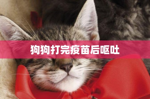 狗狗打完疫苗后嘔吐