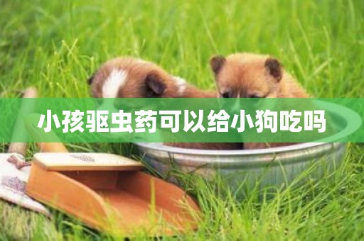 小孩驅蟲藥可以給小狗吃嗎