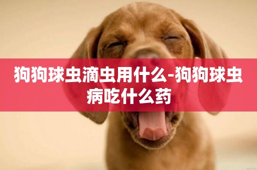 狗狗球蟲滴蟲用什么-狗狗球蟲病吃什么藥